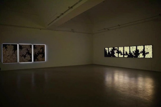 “何盛源:黄金算法”展览现场
“何盛源:黄金算法”展览现场