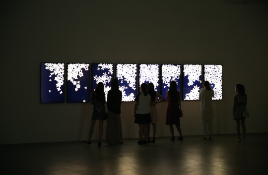 展览现场的动态影像作品《万千世》
展览现场的动态影像作品《万千世》