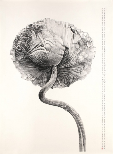 刘丹《 罂粟花》 212×148cm 水墨纸本 2008
成交价:580.6万元 香港苏富比2016春拍
刘丹《 罂粟花》 212×148cm 水墨纸本 2008
成交价:580.6万元 香港苏富比2016春拍