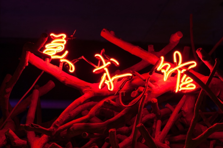 《滚动的石头》(Rolling stone)尺寸可变 龙眼树枝,工业霓虹灯 2015-2017
《滚动的石头》(Rolling stone)尺寸可变 龙眼树枝,工业霓虹灯 2015-2017