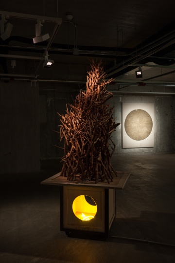 《厝-能量 》97x88x233cm 龙眼木,木板,工业蜡,工业霓虹灯 2014
《厝-能量 》97x88x233cm 龙眼木,木板,工业蜡,工业霓虹灯 2014