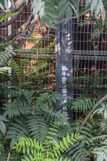 赵半狄工作室外树丛中的一块铁牌,“赵半狄熊猫艺术机构”字样依旧清晰可见 赵半狄工作室外树丛中的一块铁牌,“赵半狄熊猫艺术机构”字样依旧清晰可见