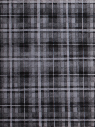 《一块布》80×60cm 铅笔毛毡 2013
《一块布》80×60cm 铅笔毛毡 2013