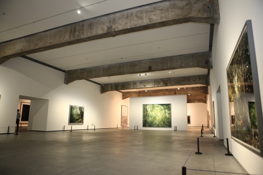 托马斯·施特鲁特(Thomas Struth)作品展览现场
托马斯·施特鲁特(Thomas Struth)作品展览现场