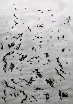 安德里亚斯·古斯基《曼谷之八》307×221×6.2cm 2011
安德里亚斯·古斯基《曼谷之八》307×221×6.2cm 2011
