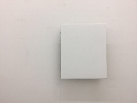 “尬展”如何化解?秦观伟的“样板间”与王礼军的“弱空间” “尬展”如何化解?秦观伟的“样板间”与王礼军的“弱空间”