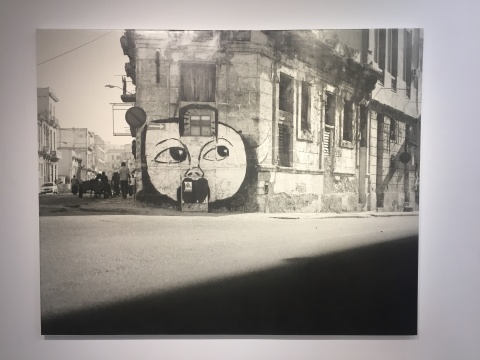 “动物寓言集”系列《女预言家》 200×250cm 布面打印照片 2017
“动物寓言集”系列《女预言家》 200×250cm 布面打印照片 2017