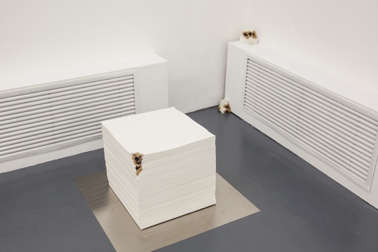 《豹变》 40×40×30cm 纸张 2014
《豹变》 40×40×30cm 纸张 2014