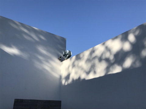 刘亚洲 在杨画廊的庭院抓住午后的阳光 刘亚洲 在杨画廊的庭院抓住午后的阳光