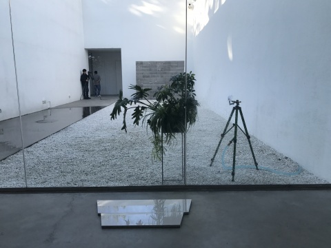 刘亚洲 在杨画廊的庭院抓住午后的阳光 刘亚洲 在杨画廊的庭院抓住午后的阳光