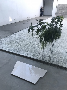 刘亚洲 在杨画廊的庭院抓住午后的阳光 刘亚洲 在杨画廊的庭院抓住午后的阳光