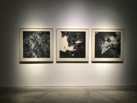 陈抱阳在杨画廊搭建“迷宫”，迷失在现实和虚幻中的“我们”是谁？