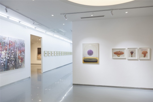 茹小凡个展“植物、气球与钟形罩”展览现场
茹小凡个展“植物、气球与钟形罩”展览现场