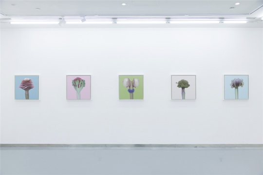 展览现场的“百花”系列
展览现场的“百花”系列