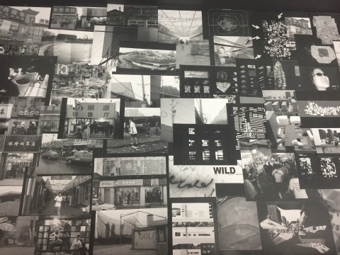 泰康空间双展览齐发 引发不一样的展览思考 泰康空间双展览齐发 引发不一样的展览思考