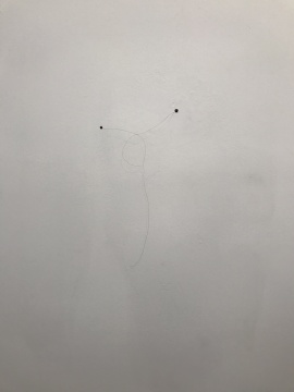 《世界与我无关》 尺寸可变 长头发（艺术家本人的），墙面 2017
