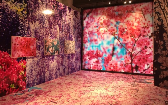 蜷川实花展现场花朵系列相关作品
蜷川实花展现场花朵系列相关作品