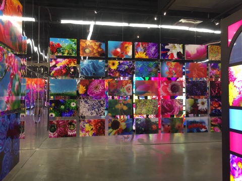 蜷川实花展现场花朵系列相关作品
蜷川实花展现场花朵系列相关作品