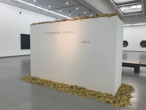 “天空没有翅膀的痕迹,而我已经飞过”
“天空没有翅膀的痕迹,而我已经飞过”
