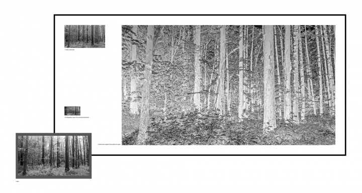李舜 《森林三》 217x105cm 10'2'' 单频高清录像,收藏级艺术微喷,纸上素描,120黑白底片 2017
RMB:8万元
李舜 《森林三》 217x105cm 10'2'' 单频高清录像,收藏级艺术微喷,纸上素描,120黑白底片 2017
RMB:8万元