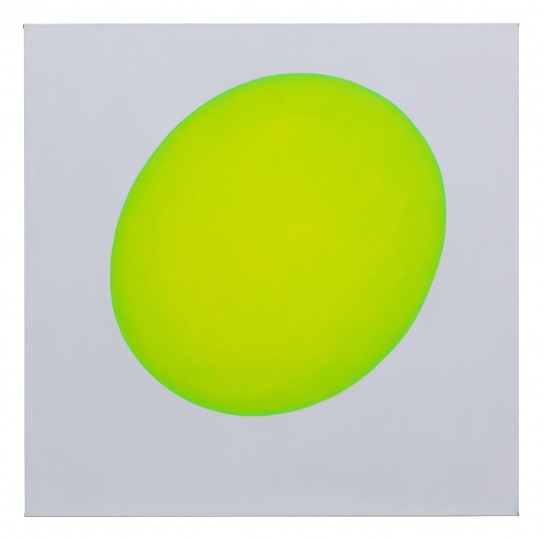 陈若冰 《1524》 200x200cm 布面丙烯 2015
RMB:35万元
陈若冰 《1524》 200x200cm 布面丙烯 2015
RMB:35万元