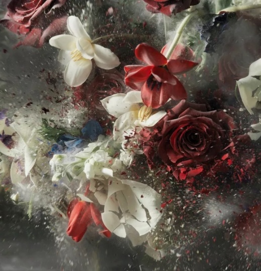 Ori Gersht 《爆炸,无题18》 156 x 150cm 档案颜料印刷品 2016
Ori Gersht 《爆炸,无题18》 156 x 150cm 档案颜料印刷品 2016