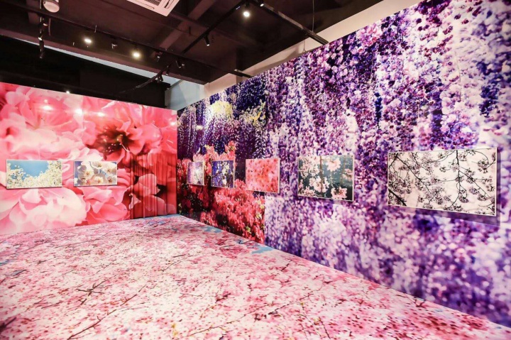 谢依辰 天辰时代×蜷川实花,打造艺术跨界新生态 谢依辰 天辰时代×蜷川实花,打造艺术跨界新生态