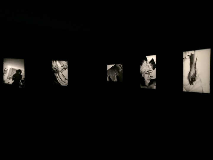 蜷川实花 “Self-image”系列展览现场
蜷川实花 “Self-image”系列展览现场