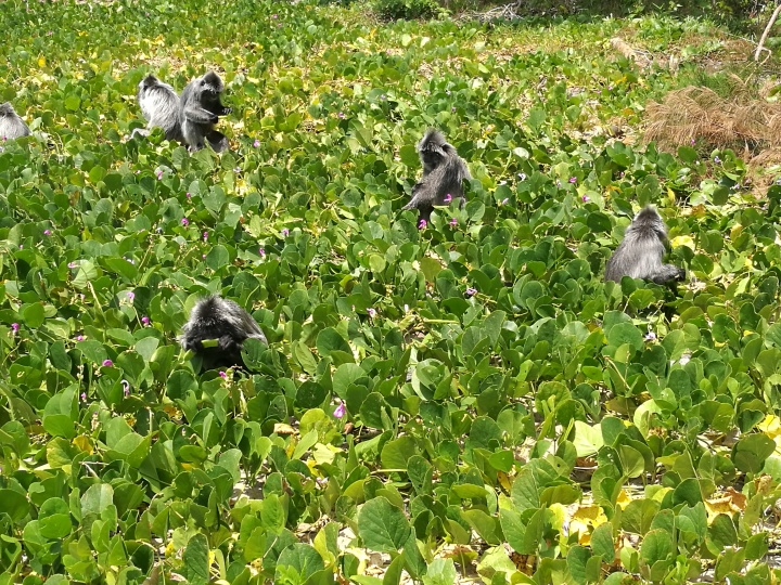 刘冰 十万八千里,寻找旅行的意义 刘冰 十万八千里,寻找旅行的意义