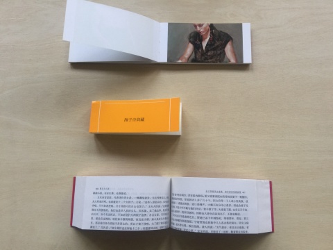 纸今《停顿》 印刷品 2017 (海子: 5.1×14.1×2cm;红楼梦: 7.2×14.8×3.3cm;Borremans: 7.1×15×1.2cm)
纸今《停顿》 印刷品 2017 (海子: 5.1×14.1×2cm;红楼梦: 7.2×14.8×3.3cm;Borremans: 7.1×15×1.2cm)