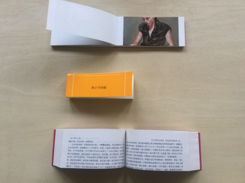 纸今《停顿》 印刷品 2017 （海子: 5.1×14.1×2cm；红楼梦： 7.2×14.8×3.3cm；Borremans: 7.1×15×1.2cm）
