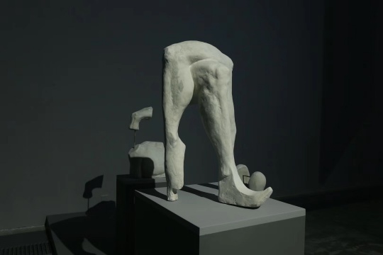 局部个体
局部个体