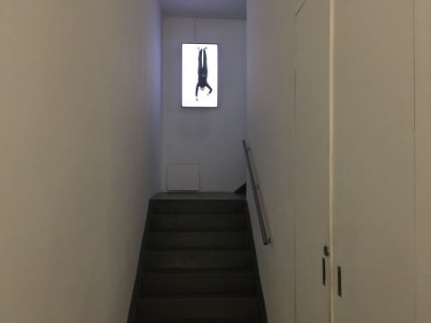 从她的脚下出发 博而励画廊展出林一林个展 从她的脚下出发 博而励画廊展出林一林个展