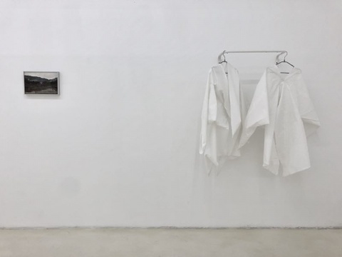 一个反智力的展览 李维伊的“个人陈述” 一个反智力的展览 李维伊的“个人陈述”