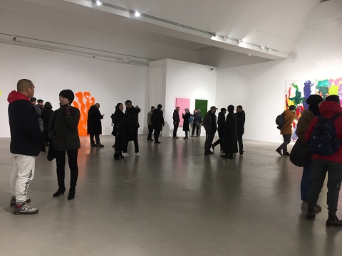 展览“直见色彩”在798成当代艺术中心开幕
