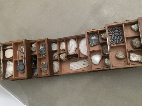 孙月《影化石实验室计划1》 尺寸可变 古提盒 陶瓷 2017
