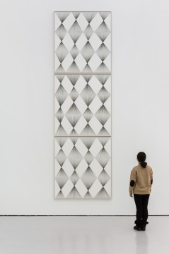 《纵向菱形迭代No.1-No.3》 154.6×143 cm×3 纸上颜料墨 2017
《纵向菱形迭代No.1-No.3》 154.6×143 cm×3 纸上颜料墨 2017