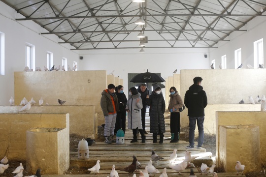 李怒的“非定义个展” 马厩里的“甚嚣尘上” 李怒的“非定义个展” 马厩里的“甚嚣尘上”