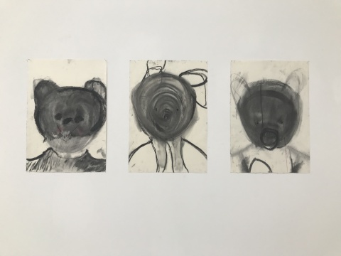 “Teddy”系列 35x50cm×3 纸本木炭  2017
