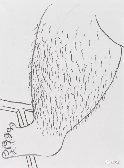 《腿毛》 19×14cm 纸上铅笔 2017
