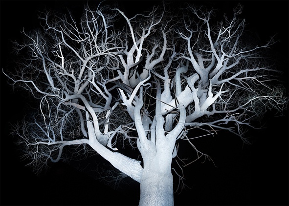 《树 2》 160×224cm艺术微喷 2014-2015(4+2AP)
《树 2》 160×224cm艺术微喷 2014-2015(4+2AP)