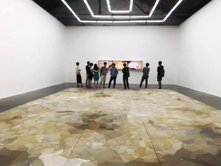 马秋莎在北京公社的第五次个展“沃德兰”现场
