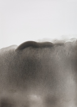 茅小浪 非宣水墨 (3) 105×75cm 2017
茅小浪 非宣水墨 (3) 105×75cm 2017