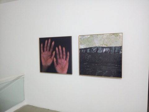 《幸存者笔记》 81×81cm×2 摄影 2010
《幸存者笔记》 81×81cm×2 摄影 2010