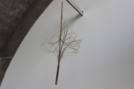 萧昱个展“易位”亮相佩斯北京,赋予“竹”全新的观看方式 萧昱个展“易位”亮相佩斯北京,赋予“竹”全新的观看方式