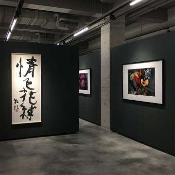 荒木经惟“情·色·花·缚”展览现场
