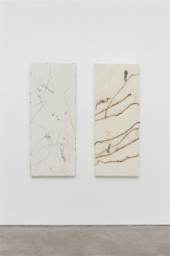 尚扬“屏白”系列 166×66cm×2 布面泥土、胶 2013
尚扬“屏白”系列 166×66cm×2 布面泥土、胶 2013