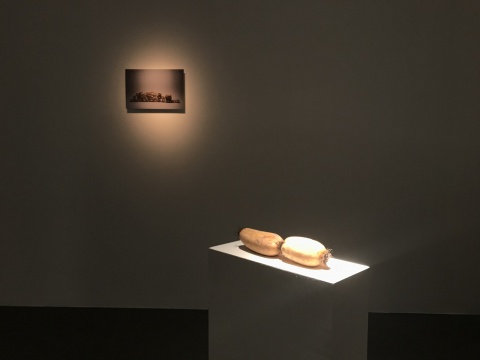 墙上的摄影为段建宇作品,策展人为其在展览现场搭配了一根“真实”的莲藕
墙上的摄影为段建宇作品,策展人为其在展览现场搭配了一根“真实”的莲藕