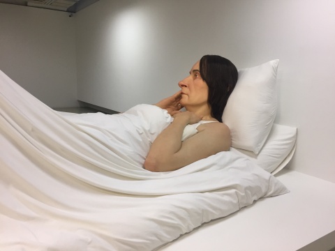 罗恩·穆克 《在床上》 162×650×395cm 混合媒材 2005
罗恩·穆克 《在床上》 162×650×395cm 混合媒材 2005
