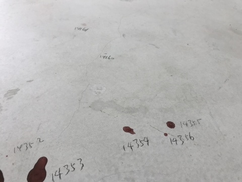 程昱峥伪造出一种工作室的“现场感”,通过彩色铅笔对画室墙面的复制和对地面色点的统一标记(共标记了14356个点),他试图使得这些随机的痕迹变得重要,获得一种庄严感
程昱峥伪造出一种工作室的“现场感”,通过彩色铅笔对画室墙面的复制和对地面色点的统一标记(共标记了14356个点),他试图使得这些随机的痕迹变得重要,获得一种庄严感